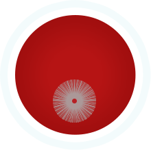 Cleaning and Inspections